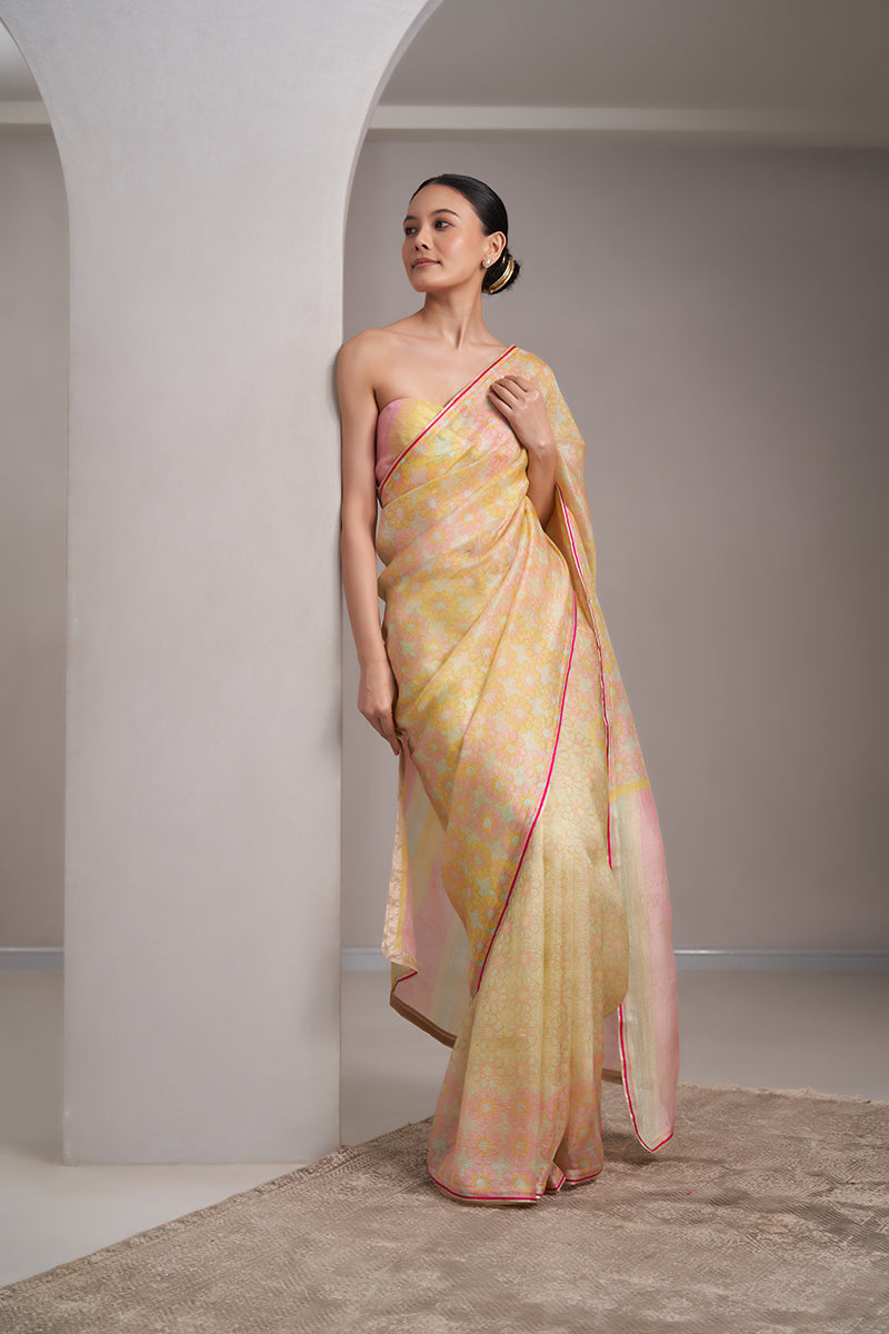 Chhui Mui  Hand Blockprinted handwoven Kataan silk Saree